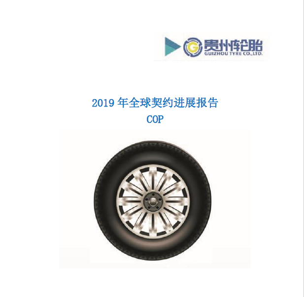 雷速体育轮胎2019年全球契约年度进展报告COP