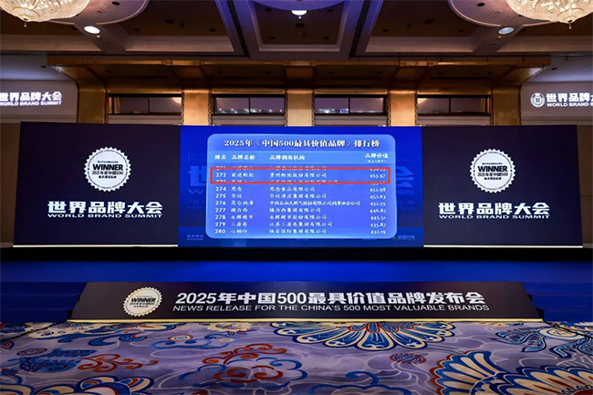 雷速体育轮胎荣登 “中国 500 最具价值品牌”——灯塔工厂铸就前进品牌价值新高度